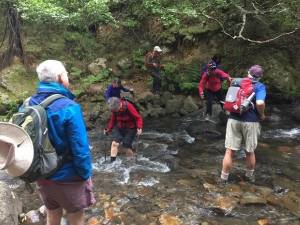 Image of pylonpeak16zf.jpg