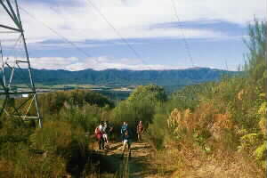 Image of pylontrackq.jpg