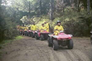 Image of quadbikes2q.jpg
