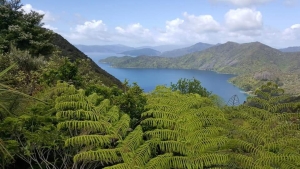 Image of queencharlotte20bsc.jpg