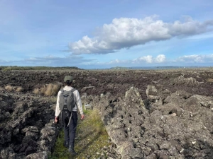 Image of ragitotois21b.jpg