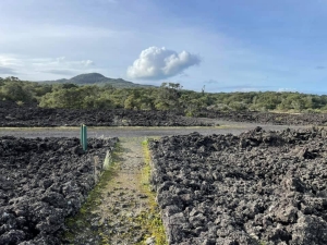 Image of ragitotois21d.jpg