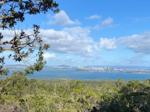 Image of ragitotois21g.jpg