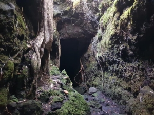 Image of ragitotois21j.jpg