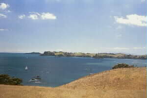 Image of rakinoq.jpg