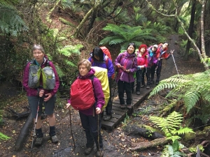 Image of rakiuradec17e.jpg