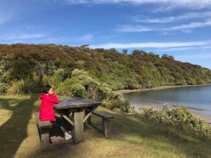 Image of rakiuradec17t.jpg