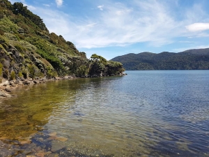 Image of rakiurajan18i.jpg