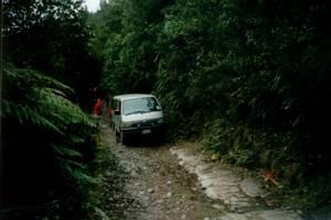 Image of rangihau02badroad.jpg