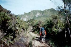 Image of rangihau02onwayout.jpg