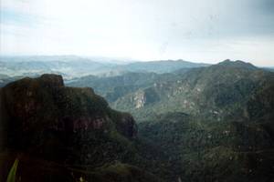 Image of rangihau02pinnaclesviewnorth.jpg