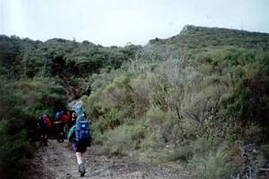 Image of rangihau02plateau2.jpg