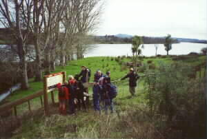 Image of rangiririhalfwayq.jpg