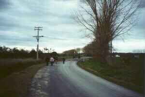 Image of rangiririroadbash2q.jpg