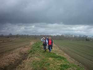 Image of rangiririsept2003cropfields.jpg