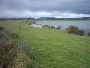 Image of rangiririsept2003weavers.jpg