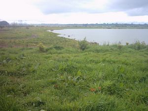 Image of rangiririsept2003weaverslakewaahi.jpg