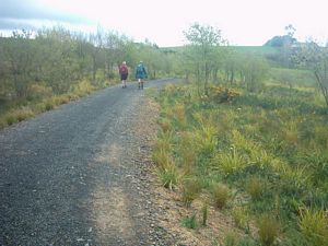 Image of rangiririsept2003weaversplantings.jpg