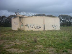 Image of rangiririsept2003weaversstructure.jpg