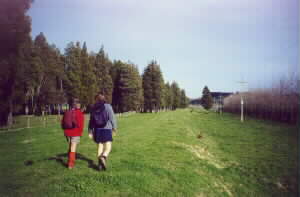 Image of rangiriristopbankq.jpg