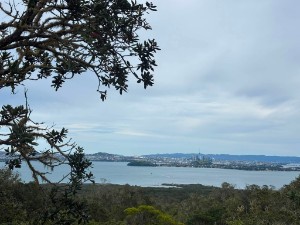 Image of rangitotoaug26a.jpg