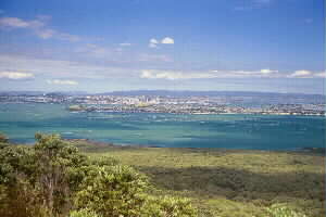 Image of rangitotoislandaucklandcitycentralq.jpg