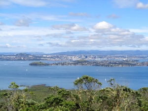 Image of rangitotojan16b.jpg