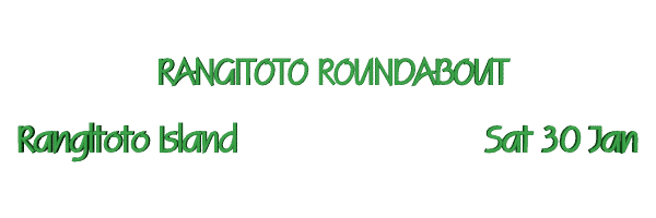 Image of rangitotoroundabout.gif