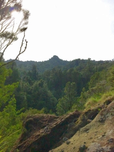 Image of ratstoothapr17b.jpg