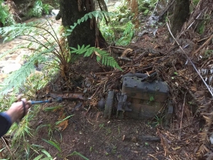 Image of ratstoothapr17c.jpg