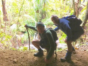 Image of ratstoothapr17e.jpg