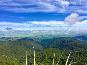 Image of ratstoothapr17j.jpg