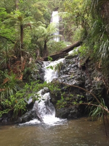 Image of ratstoothapr17m.jpg