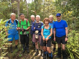 Image of ratstoothapr17pyj.jpg