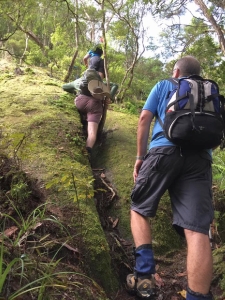 Image of ratstoothapr17q.jpg