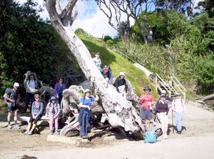 Image of redbeach06bhpuawaibay.jpg