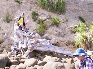 Image of redbeach06bjpuawaibay.jpg