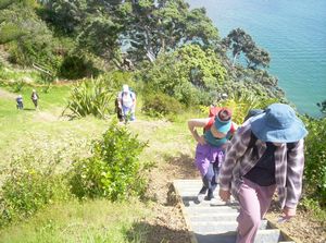 Image of redbeach06bowalkway.jpg