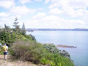 Image of redbeach06bpwalkway.jpg