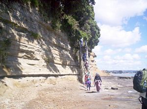 Image of redbeach06brocks.jpg