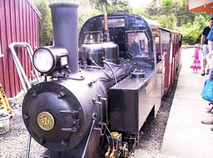 Image of redbeach06citrain.jpg