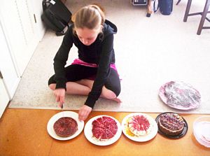 Image of redbeach06fdcheesecakeartist.jpg