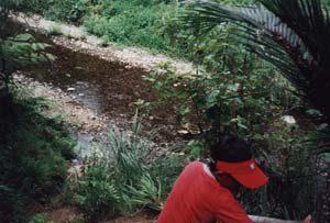 Image of redhill02haysstreamq.jpg