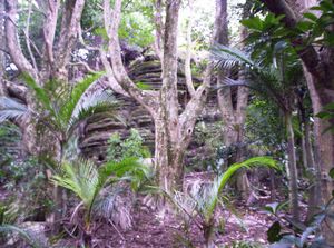 Image of redhilljul06aibluffs.jpg