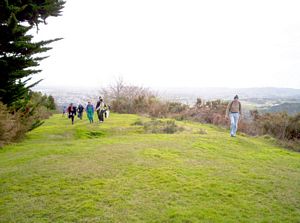 Image of redhilljul06alpa.jpg