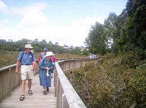 Image of remueranov05boardwalk.jpg