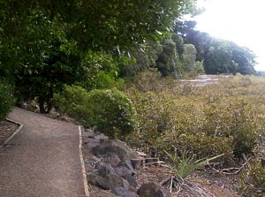 Image of remueranov05boardwalk2.jpg