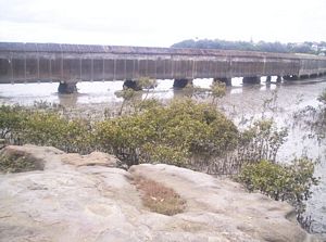 Image of remueranov05pipeline3.jpg