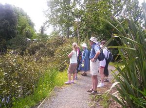 Image of remueranov05waiakwramoa.jpg