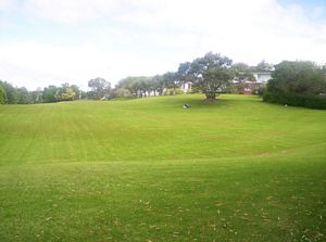 Image of remueranov05waiakwramoa3.jpg